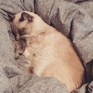 Meet your Posher, Alexis